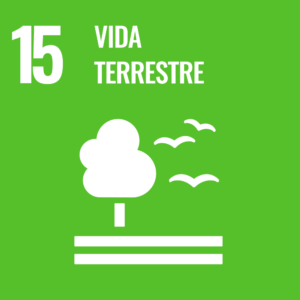 ODS 15 – Vida terrestre